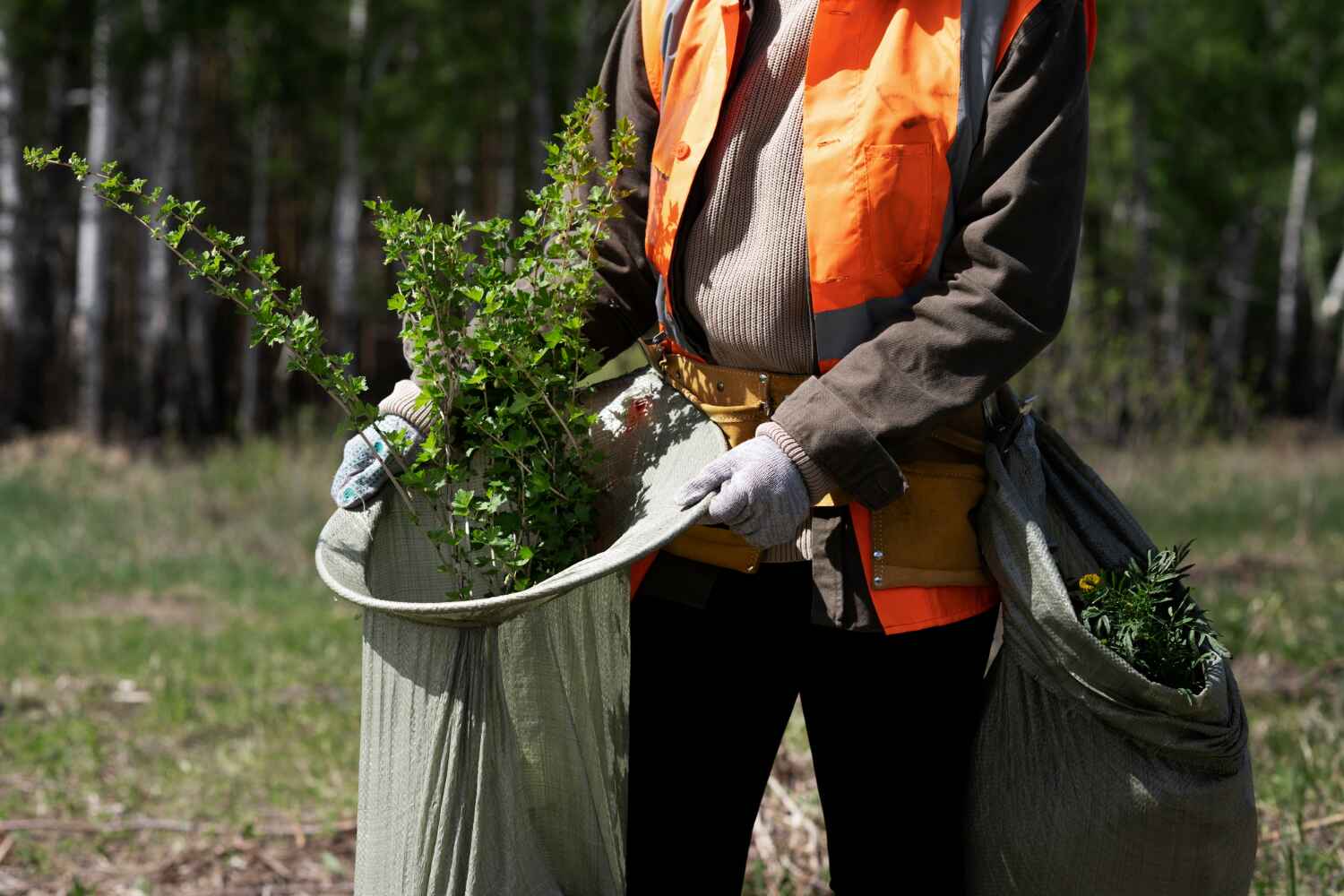 Trusted Elm Creek, TX Tree Service Experts